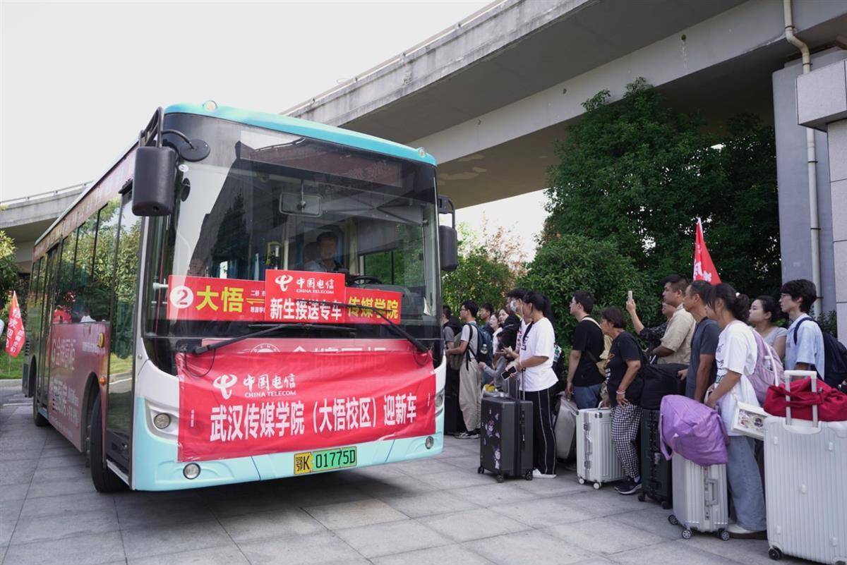 c7电子娱乐